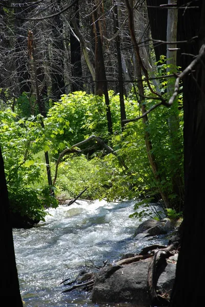 DSC_0093 (Large).JPG